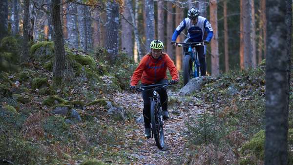 Cyklister i skogen